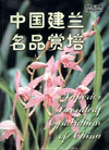Superior Sword Orchis (Cymbidum ensifolium) of China
