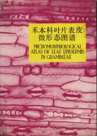 Micromorphological Atlas of Leaf Epidermis in Gramineae
