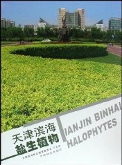 Tianjin Binhai Halophytes