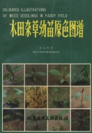 Coloured Illustrations of Weed Seedlings in Paddy Field