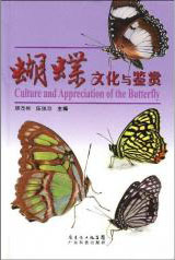 Culture and Appreciation of the Butterfly