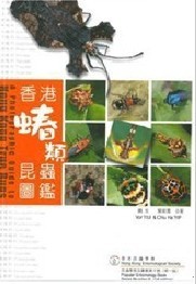 A Photographic Guide to Hong Kong True Bugs
