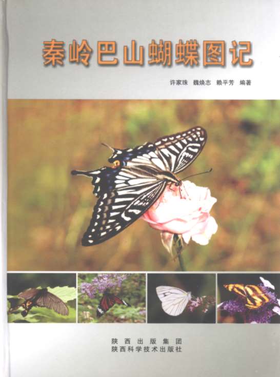 Atlas of Butterflies of MT Qinling-Bashan (Qinling Bashan Hu Die Tu Ji) 