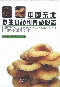 Illustrations of Edible and Medicinal Fungi in Northeastern China