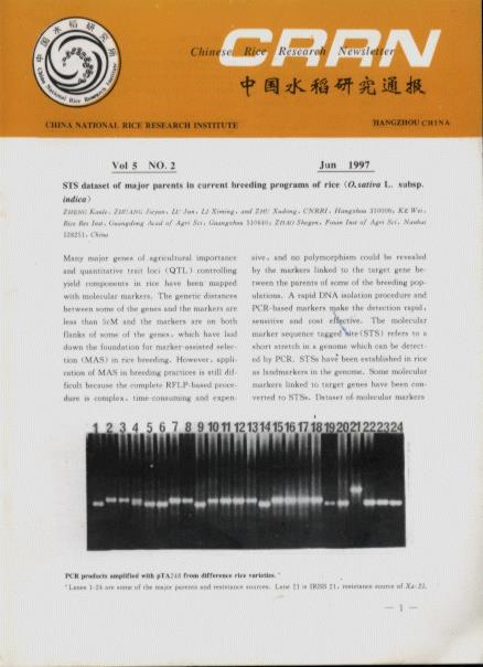 Chinese Rice Research Newsletter (Vol.5, No.1-4)