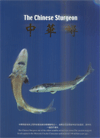 The Chinese Sturgeon