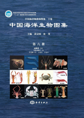 An Illustrated Guide To Species in China’s Seas(Vol.6) - Animalia (4) : Arthropoda (2) Crustacea (2) Decapoda Stmatopoda