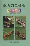 Colour Atlas of Common Species of  Grasshoppers and Locusts from North China