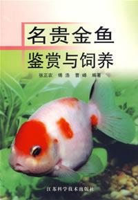 The Appreciation and Raising of Precious Goldfish