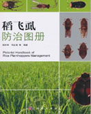 Pictorial Handbook of Rice Planthoppers Management