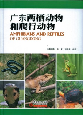 Amphibians and Reptiles of Guangdong