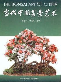 The Bonsai Art of China