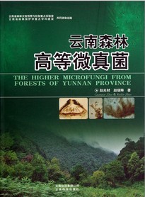 The Higher Microfungi from Forests of Yunnan Province