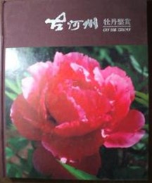 Peonies in Guhezhou