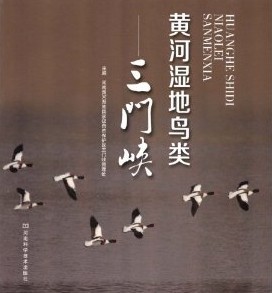 Wetland Birds in the Yellow River: San Men Xia