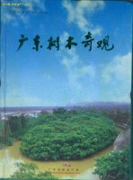 Marvelous Trees in Guangdong, China