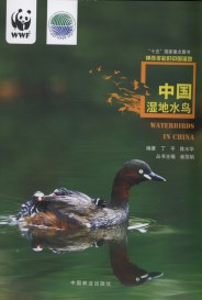 Waterbirds in China 