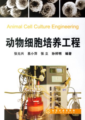 Animal Cell Cluture Engineering