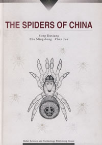 The Spiders of China