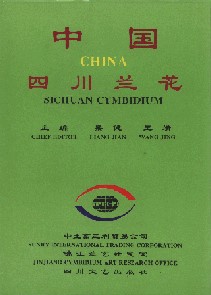 Sichuan Cymbidium