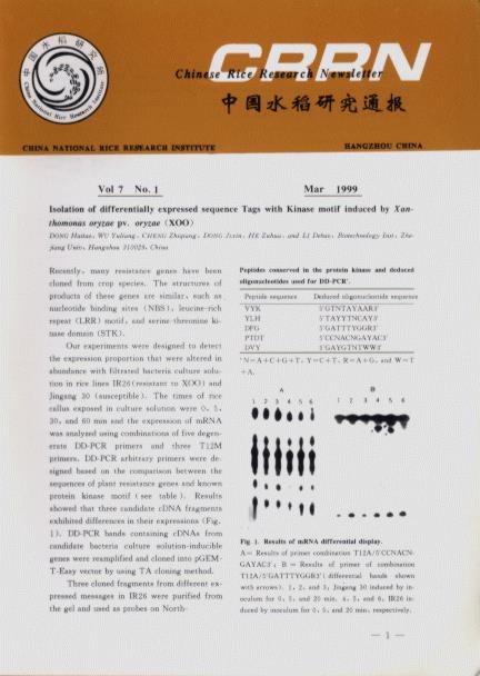 Chinese Rice Research Newsletter (Vol.7, No.1-4)