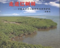 Approach to Mangroves—Beilunhekou National Nature Reserve Area of China