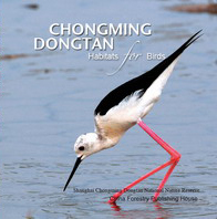 Chongming Dongtan Habitats for Birds
