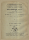 Paleontologia Sinica (New Series C, Whole Series No.114,No.5) The Fossils from Locality 12 of Choukoutien (One copy)