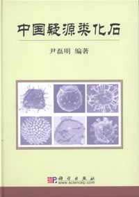 Acritarch Study in China