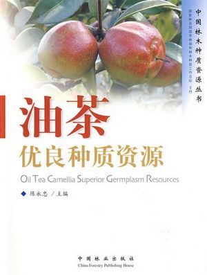 Oil Tea Camellia Superior Germplasm Resources