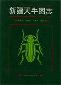 Longicorn Beetles Fauna of Xinjiang