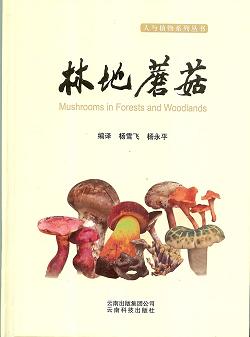 Mushrooms in Forests and Woodlands