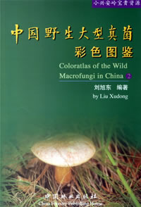 Color Atlas of the Wild Macrofungi in China (2)