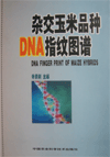 DNA Finger Print of Maize Hybrids
