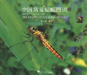 Photo Atlas of the Usual China Dragonflies (Ebook)