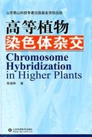 Chromosome Hybridization in Higher Plants