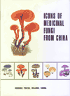 Icons of Medicinal Fungi from China