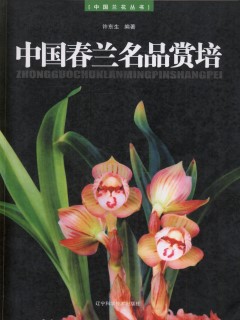 Superior Spring Orchid (Cymbidium goeringii) of China