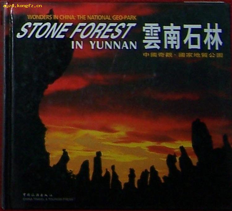 Stone Forest in Yunnan : Wonders in China: The National Geopark 