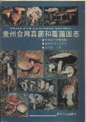 Illustrations of Edible Fungi and Poisonous Fungi in Guizhoui