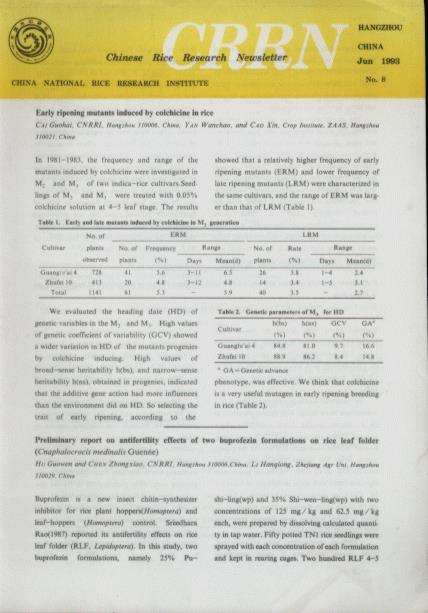 Chinese Rice Research Newsletter (Vol.1, No.8)