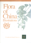 Flora of China, Illustrations, Vol.4, Cycadaceae through Fagaceae