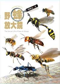 The Secret Life of Bees and Wasps