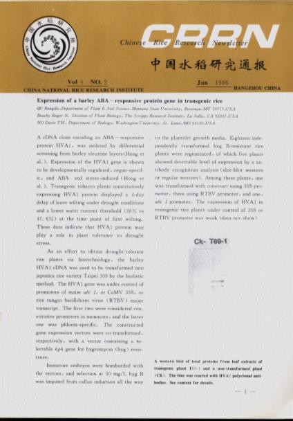 Chinese Rice Research Newsletter (Vol.4, No.2,4)