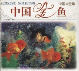 Chinese Goldfish