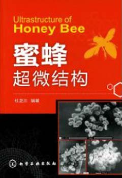 Ultrastructure of Honey Bee