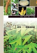 Atlas of 100 Kinds of Well-chosen Wild Vegetables in Zhejiang