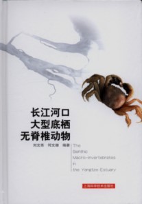 The Benthic Macro-invertebrates in the Yangtze Estuary
