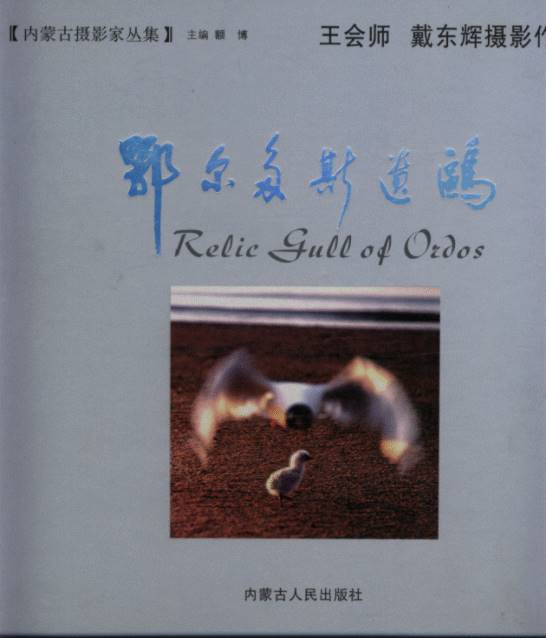 Relic Gull of Ordos