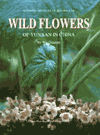 Wild Flowers of Yunnan in China (English edition)